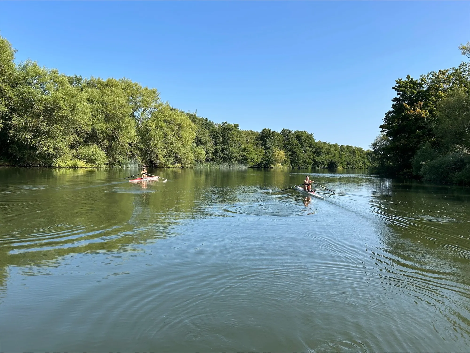 Shiplake Vikings skulling